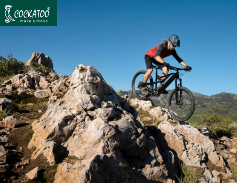 Mountain Bikes vs. Road Bikes Which One Is Right for You