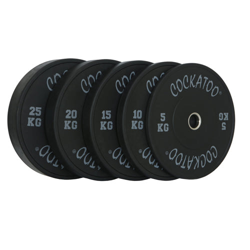 Black Bumper Plates Pair