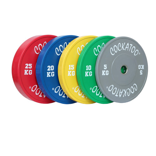 Colour Bumper Plates Pair