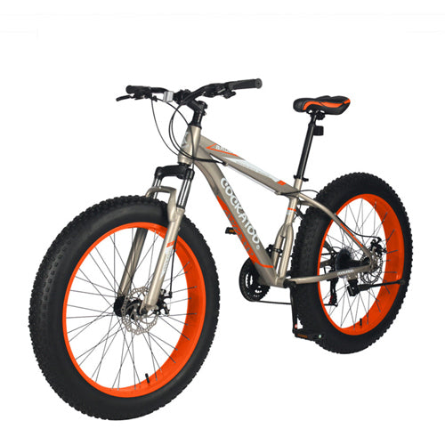 FAT BIKE - CFB 02