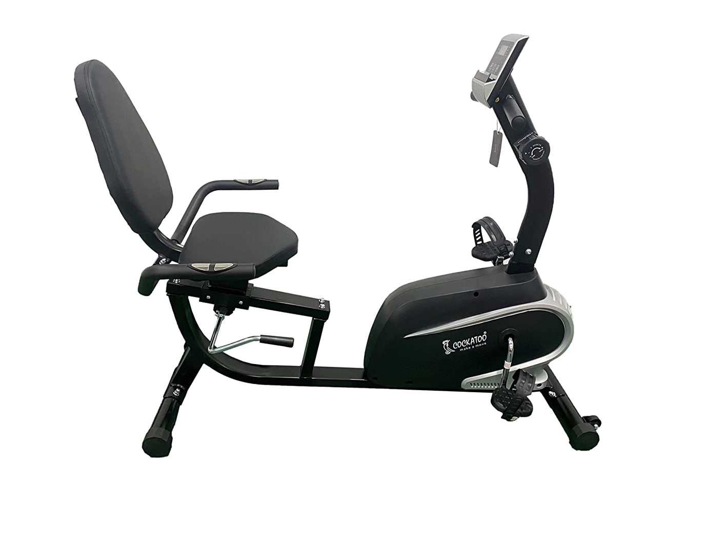 Cockatoo Recumbent Bike