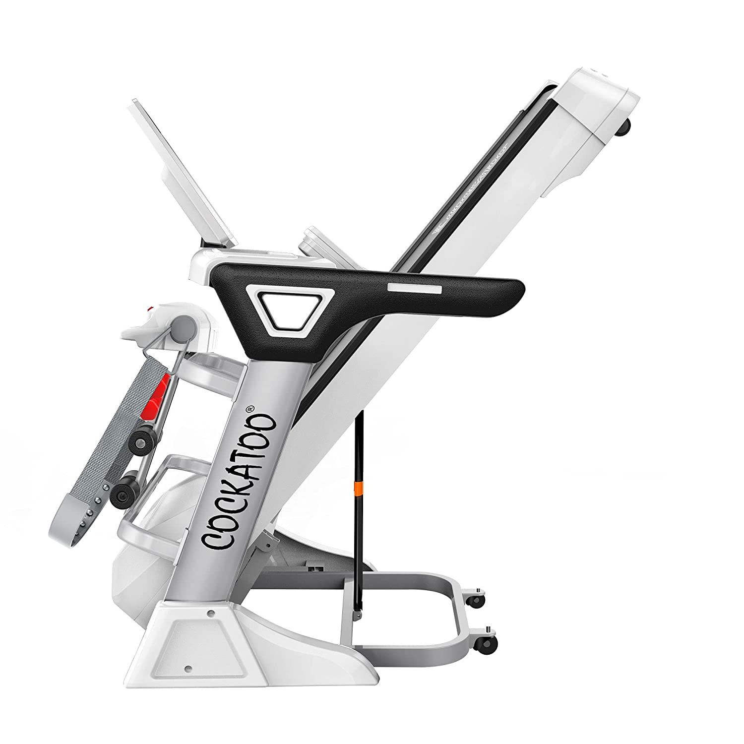 Cockatoo treadmill ctm 05 hot sale